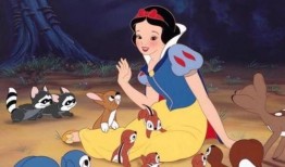 白公主在线观看,穿越时空的奇幻之旅